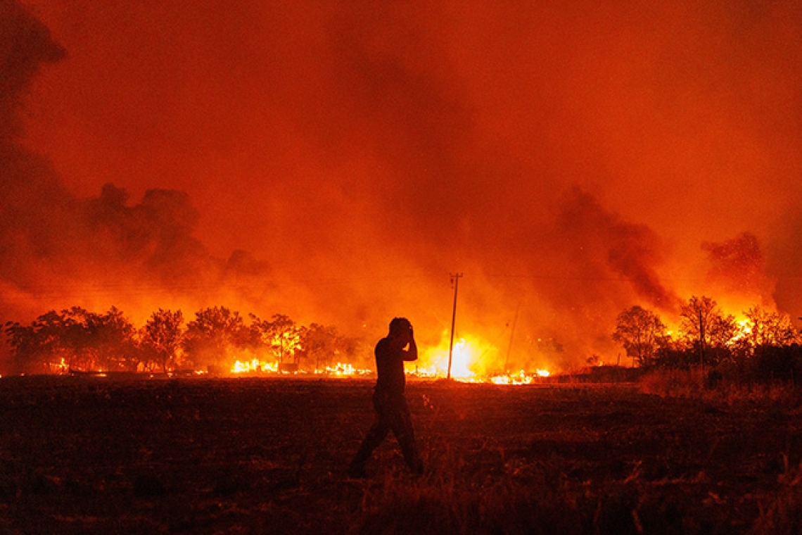 Συνεχίζουν ανεξέλεγκτες οι πυρκαγιές σε Αλεξανδρούπολη, Ροδόπη και Καβάλα - Νέο μέτωπο φωτιάς στη Βοιωτία