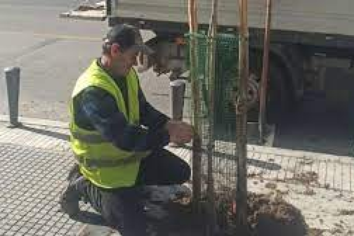 Αγγελούδης | 1.000 νέα δέντρα φυτεύτηκαν στη Θεσσαλονίκη